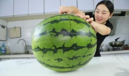 网红大瓜等你来开