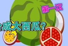 必吃大瓜 fill研究免费入口,免费入口背后的fill研究奥秘